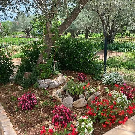 Sweet Διαμέρισμα Poljana (Ugljan)